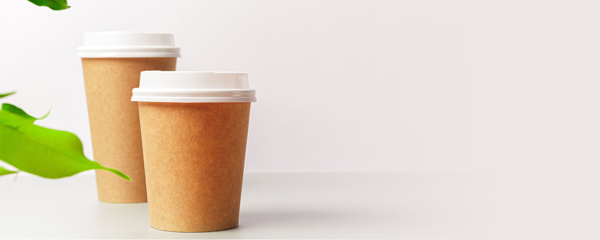 coffee-cups