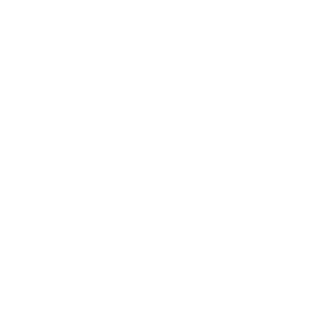 smm-icon1