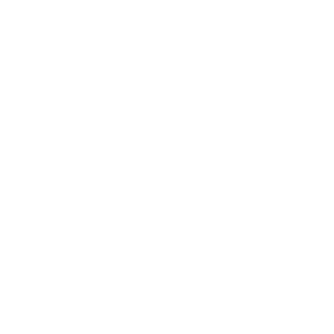 smm-icon2