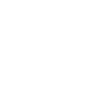 smm-icon3